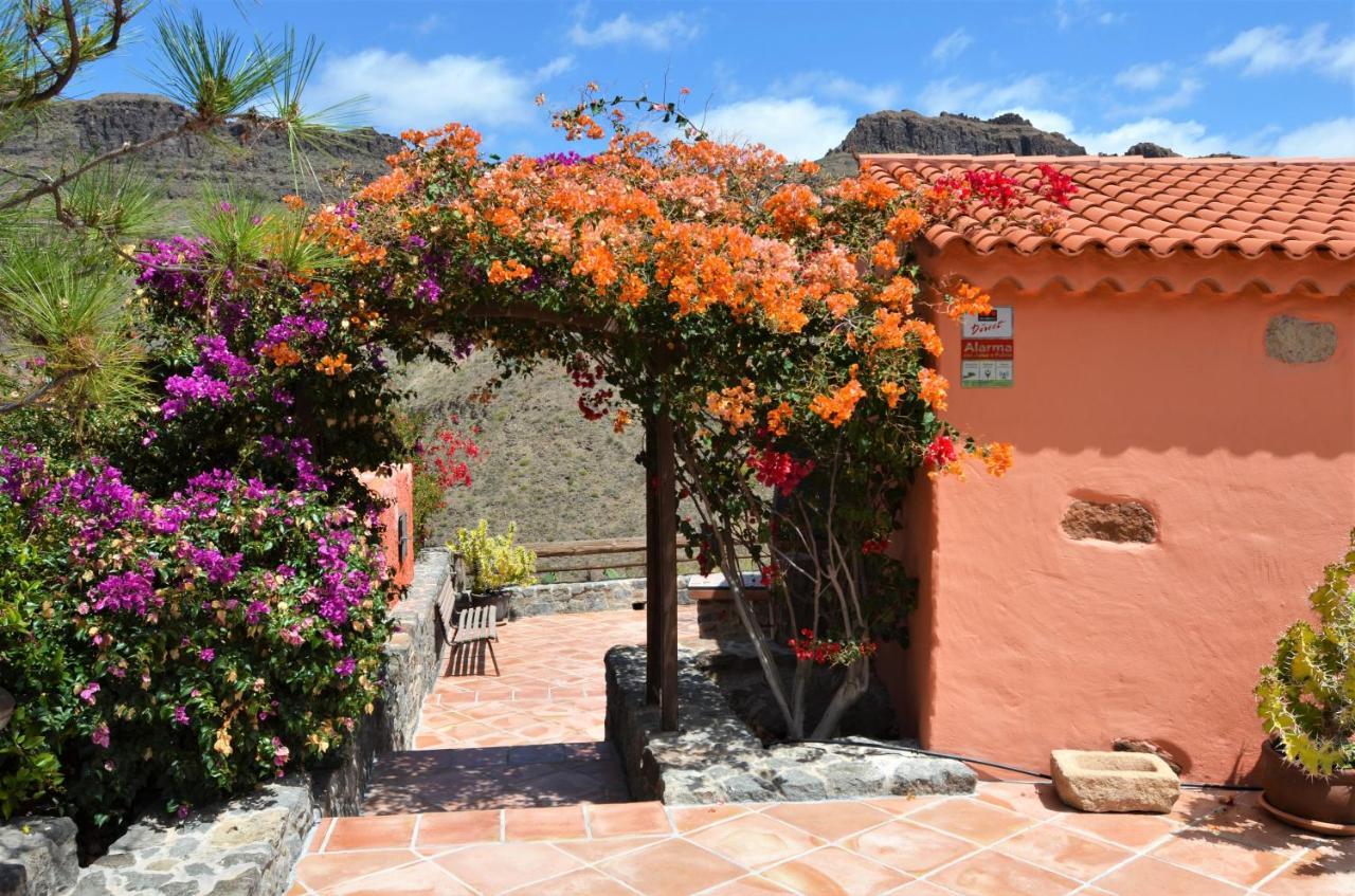 Vakantiehuis Olivas - Unique With Heated Pool *